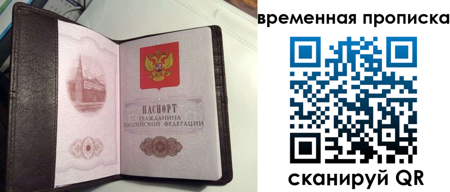 прописка 2025 в Заречном